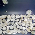 Gems Bulk Sale Irregular Die Cutting White Natural Gems Stones Crafts Crystal Cluster