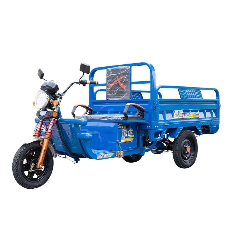 Electric Tricycles 60v 1000w For Cargo 