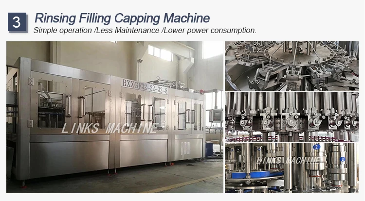 Complete PET Bottling Plant for Juice Plastic Bottle Hot Filling Packaging Machine details