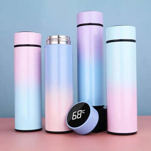 Double Vacuum Insulation 500ml Tumbler Stainless Steel Smart Water Bottle with LED Temperature Display