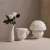 Dome Shape Arrangement Round PORCELAIN VASE Eternal Forever Eternity Rose Preserved Flower