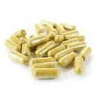 Weight Loss Private Label Weight Loss Garcinia Cambogia 100% Hard Capsules Slimming Capsule