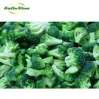 Vegetable Nutrition Health Vegetable Nutrition Health Frozen Broccoli