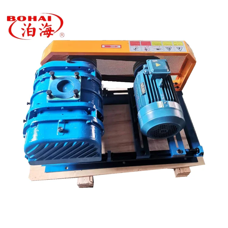 Roots Vacuum Pump, 380v, Electric - detail 4