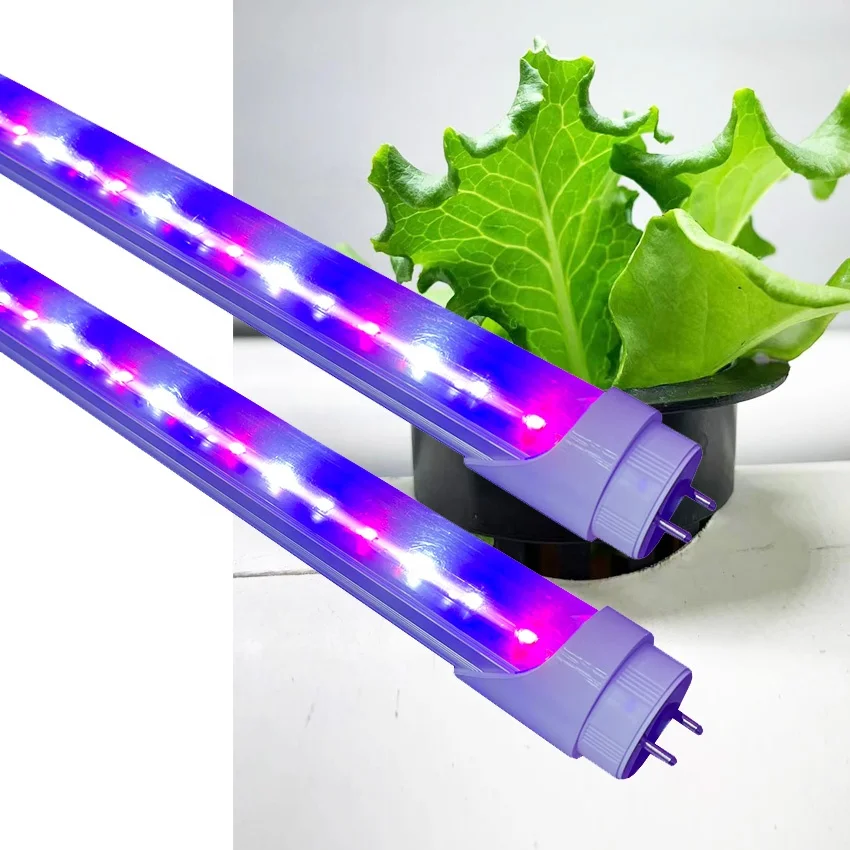 t8 6500k grow light