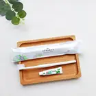 Custom Logo Wholesale Disposable Plastic Tooth Brush For Travel