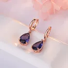 Amethyst Drop Earrings Earrings 2021 Elegant Rose Gold Crystal Stone Amethyst Drop Earrings Jewelry