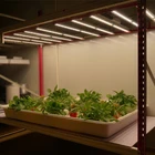 Led Bar For Led Grow Light Bar Sulight 650r Led Growing Light Led Bar Grow Light 640w For Plants Growth