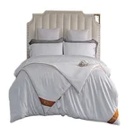 Hygroscopic Breathable Comfortable And Healty High Quality Warm Double Silk Quilt