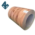 Coils Zinc Plates Pre Painted Zinc Aluminum Coated Steel Coils Plates