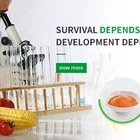 Animal China Factory Supply Pure Natural Animal Pharma Beclometasone Dipropionate Powder