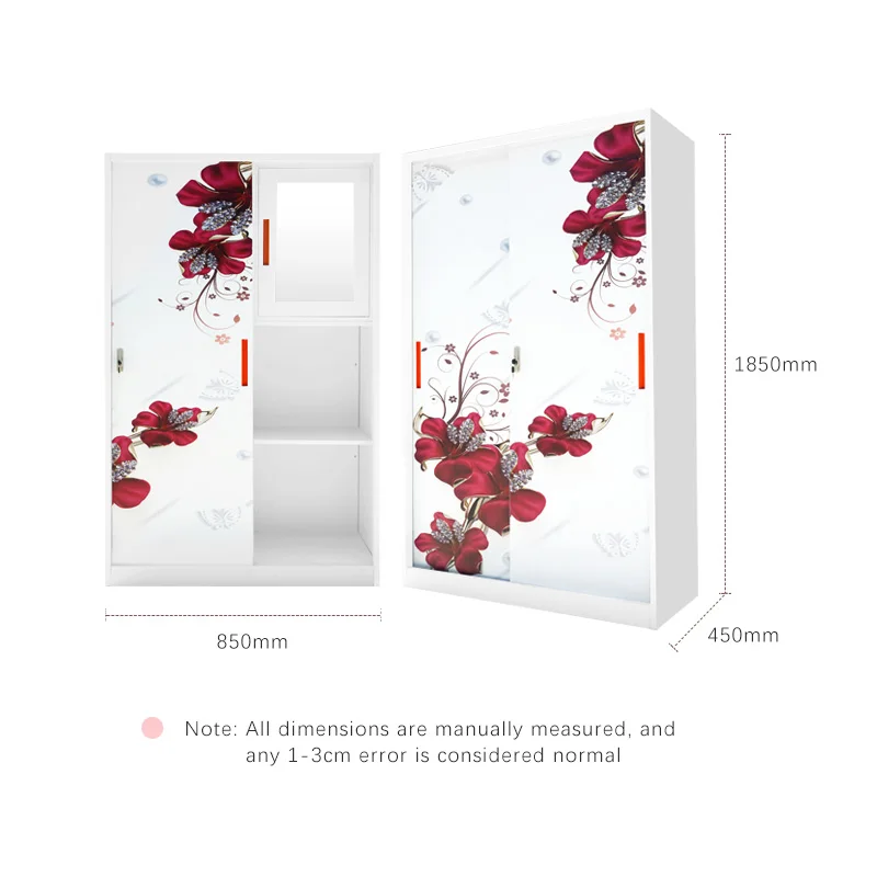 Modern 2-Door Iron Steel Metal Locker Printed Wardrobe for Home Bedroom Bathroom School Office Gym for Hotel Furniture