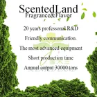 Concentrate Free Sample High Concentrate Caramel Fragrance Oil Daily Essence Favor For Candle Making