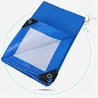 Tent Polyethylene China Pe Tarpaulin China Pe Tarpaulin Factory Manufacture Tarpaulin Tent Fabric Tarpaulin