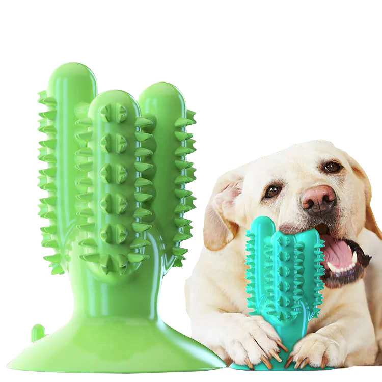 dog toothbrush toy petsmart