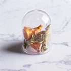 Wedding Favor Party Favors 2019 New Products Plastic Decoration Party Wedding Candy Favor Box