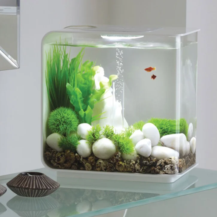 seaclear bowfront aquarium combo