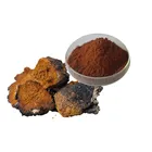 Herb Chaga Extract Natural Herb Strengthen Immunity 30%Beta Glucan Chaga Extract