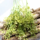 China Flower China Best Sale Wedding Flower Decoration Wholesale Artificial Babysbreath Flower
