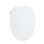 China China Top New Bathroom Sanitary Ware Intelligent Smart Bidet Toilet Seat Cover