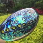 Abalone Shell Hot Sale Modern Home Craft Handmade Mexican New Zealand Abalone Shell Pieces For Crafts