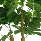 Bonsai Indoor Artificial Tree Bonsai YD29311 Artificial Wholesale Small Bonsai Tree For Home Indoor Decor