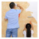 Wall Decoration Professional Manufacturer Fiber Wall Coating Silk Plaster Liquid Wallpaper For Home Decoration