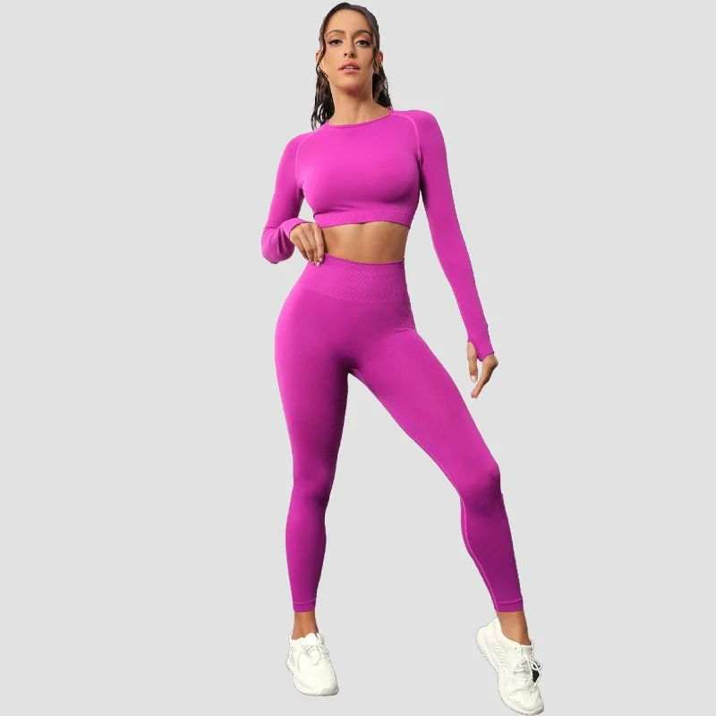Hot Selling Running Fitness Seamless Hiking Clothes Breathable Women's Workout Yoga Long Sleeve Set