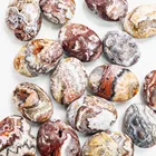 Gem Wholesale Natural Mexico Sardonyx Palm Stone Quartz Crystal Stone Gem Specimen Healing