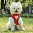 Mesh Vest Soft Breathable Mesh Small Big Pet Puppy Pug Bulldog Dog Vest Harness Leash Set