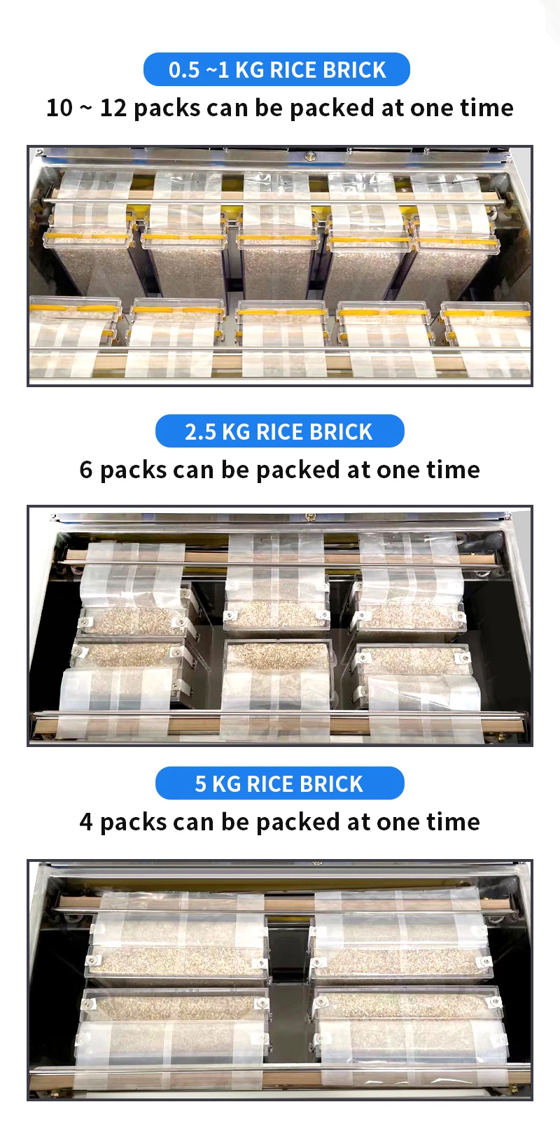 Commercial full-automatic cooked food large dry and wet powder granule seafood plastic packaging vacuum CE pumping machine