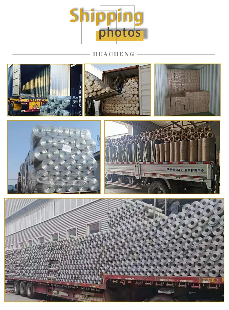 Farm hot galvanizing welded wire mesh Livestock welded wire mesh fence  Concrete welded wire mesh rolls