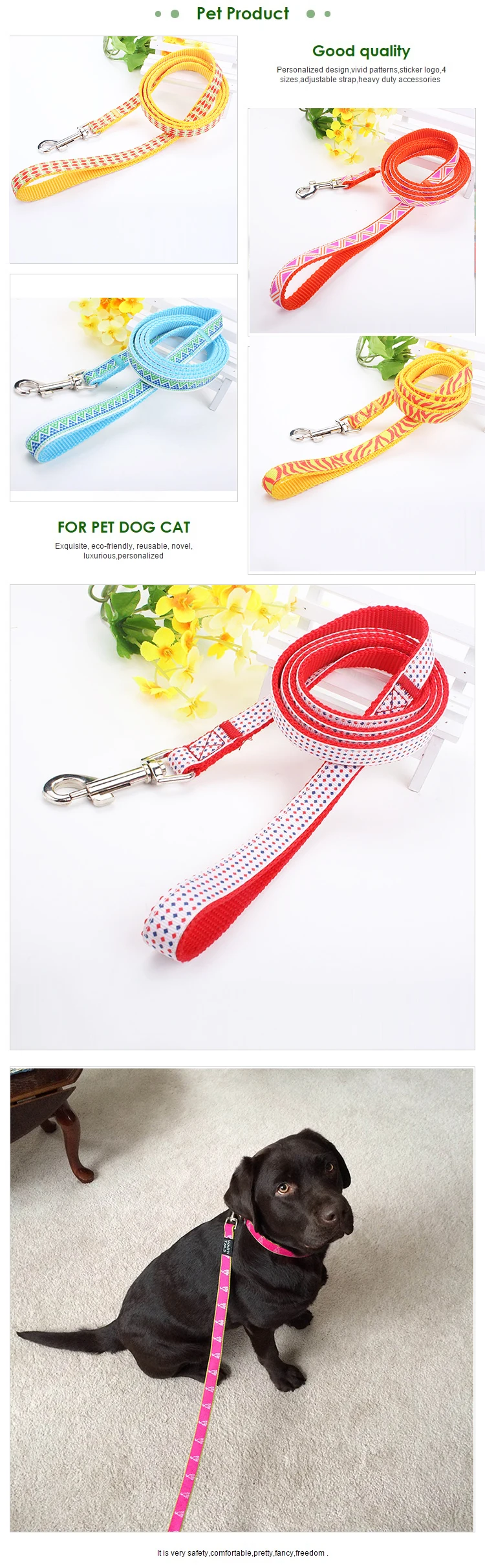 dog leash ribbon.jpg