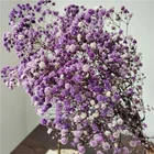 Silk Flowers Flower Artificial Flowers Dried Dried Gypsophila Silk Flowers Gypsophila Dried Artificial Flower Arrangements