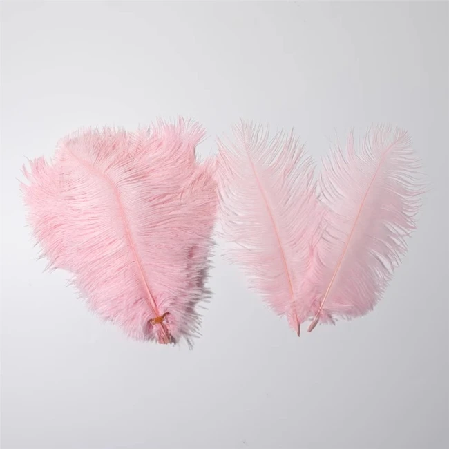 High quality 45-50cm white Large Plume ostrich