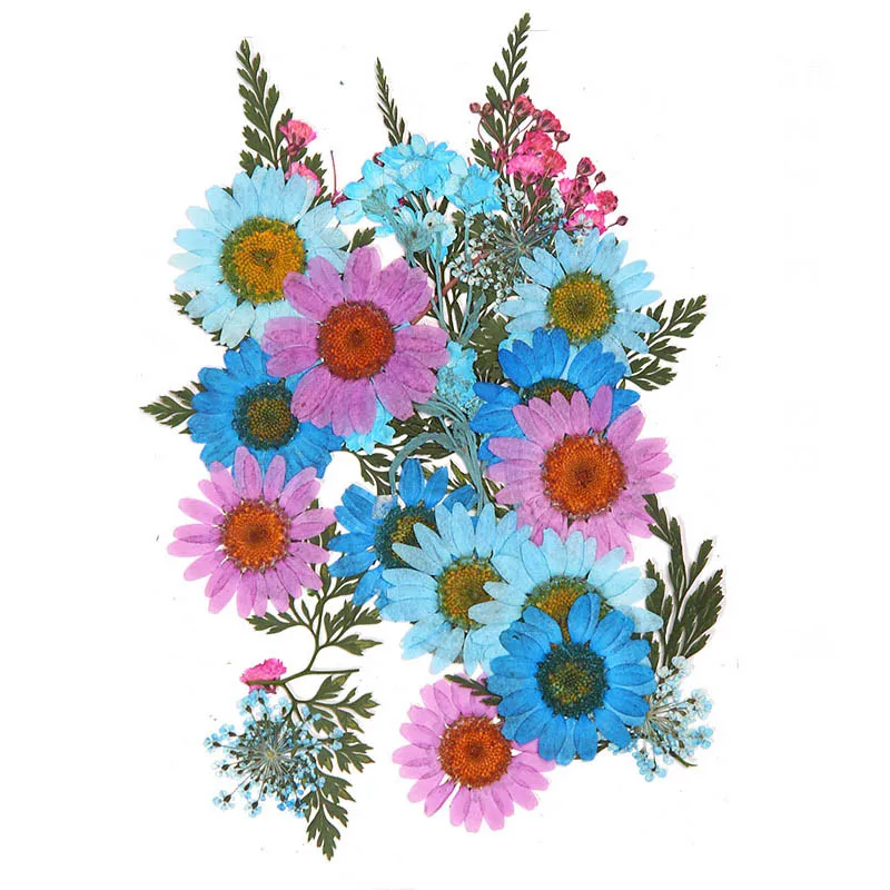 Handmade DIY Dried Flower Leaf Bookmarks Set