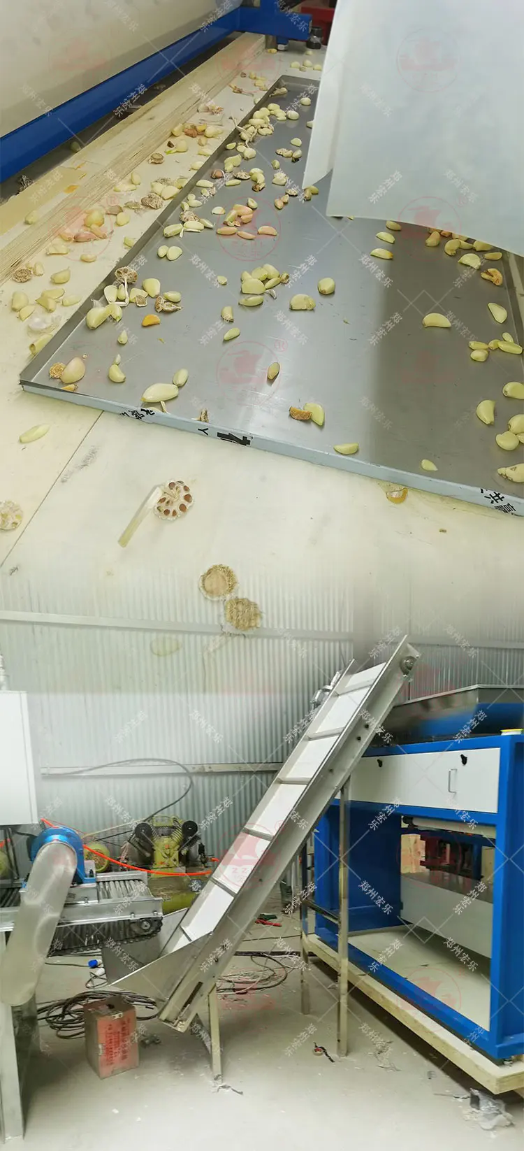 Cardamom Colour Sorting Machine Belt Olive Chilies Optical Bean Color Sorter Machine for Minerals manufacture