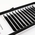 Eyelash Black Eyelashes Classic Eyelash Extensions Lashes 1 By 1 Mink Eyelash Vendors Matte Black Eyelashes