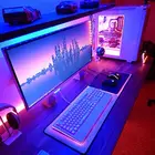 Rgb Rgbw Rgb Rgb Strip Light Waterproof 12V 24V 5050 Rgb Rgbw 24 44 Keys Remote Controlled Flexible Led Strip Lights 5M