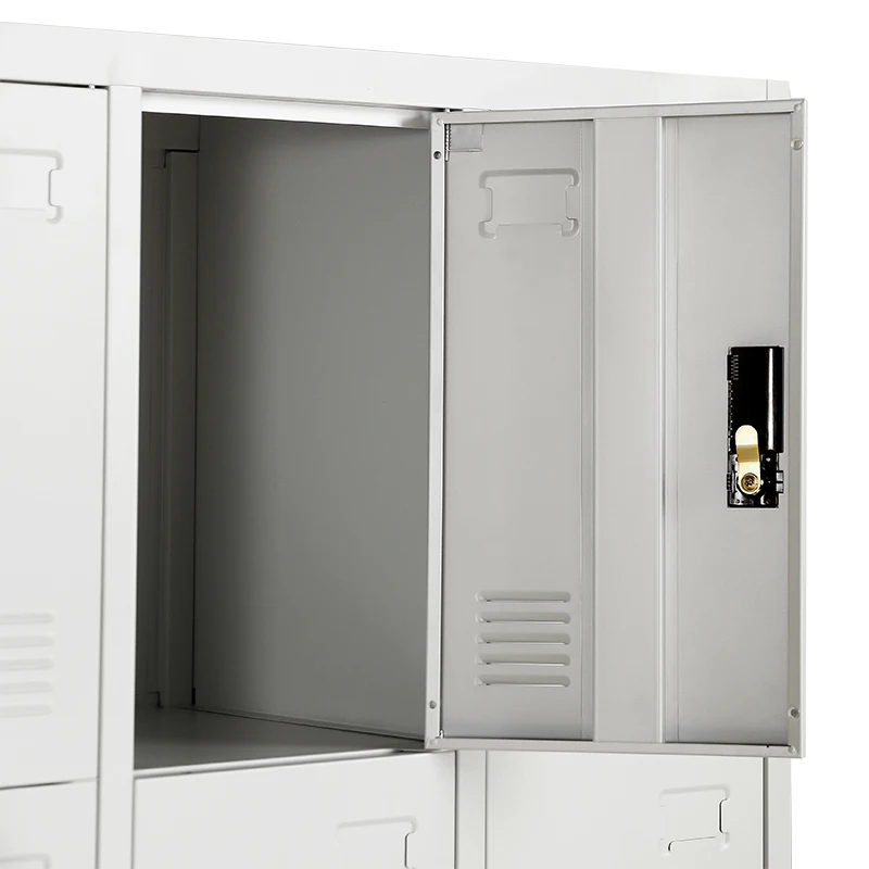 근대적 디자인 화려한 Oem 12 문 금속 사무실 로커들 KD 구조물 10