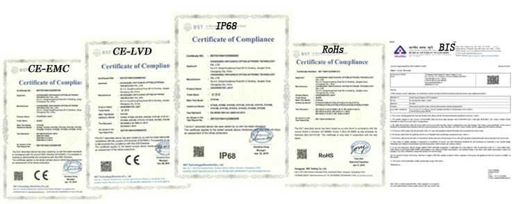 Certification.jpg