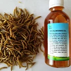 Food Mealworm Price Dry Mealworms For Poultry Or Chicken Feed Dog/cat Food