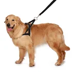 Private Label Quick Fit Neoprene Padded Easy Control No Pull Dog Harness Reflective Nylon Webbing