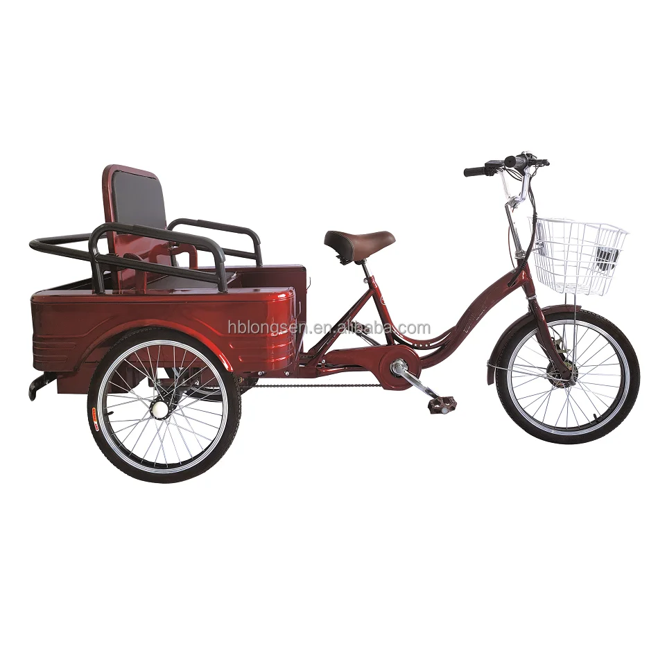 dual tricycle for adults