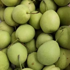 Fresh Pear Pearpearfresh Have A Sweet Crisp Health Plump Shandong Fresh Pear