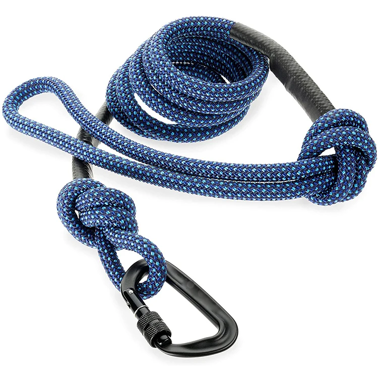 chain dog lead with carabiner clip