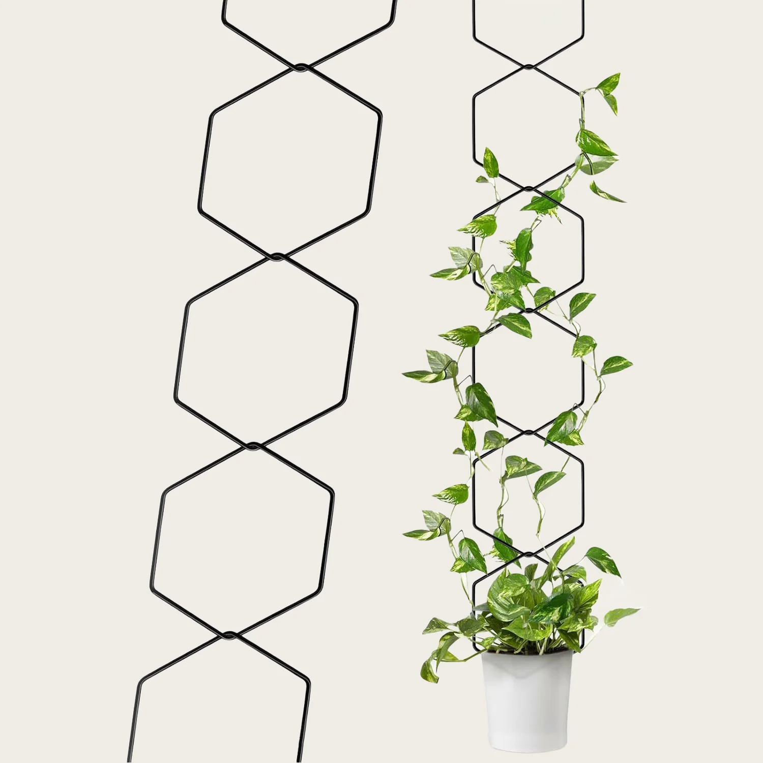 NEW High Quality Garden Wall Hexagonal Trellis Plant Vine Support Potted Plants Trellis for Living Room