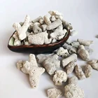 Coral Natural Corallite Coral Sand Stone For Aquarium Water Filter