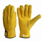 Gloves Driving Yulan LC609 Golden Or White Color GOATSKIN Material DRIVING GLOVES Winter Use