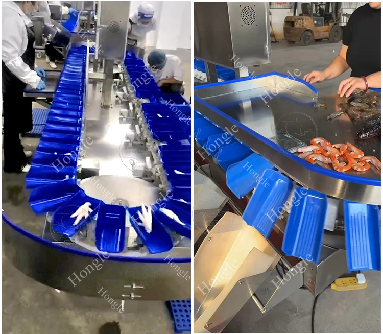 Clam Fish Sorting Machine Agricultural Product Weight Sorting Machine Shrimp factory